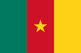 カメルーン共和国 の国旗