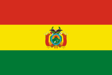 ボリビア多民族国 の国旗