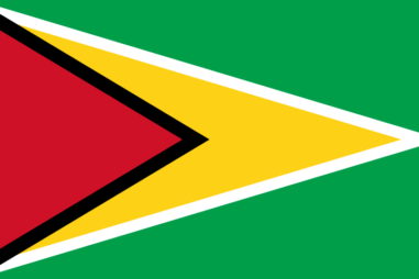 ガイアナ共和国の国旗｜世界の国サーチ