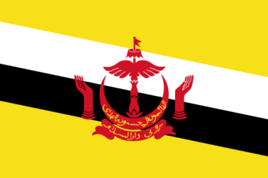 ブルネイ・ダルサラーム国の国旗｜世界の国サーチ